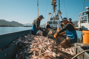 Adriatico, oltre il 53% del pescato italiano. Tiozzo (Fedagripesca): "Urge regia comune per...
